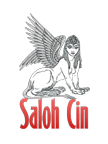 SalohCin.com